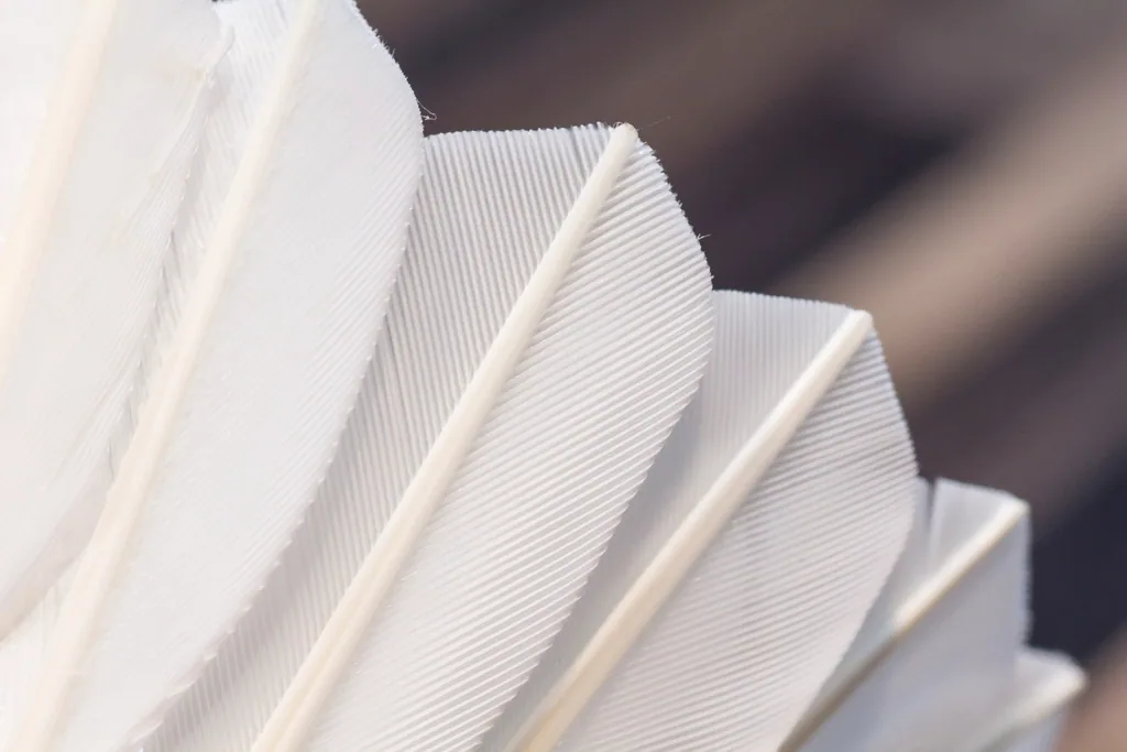 badminton shuttlecock closeup on court