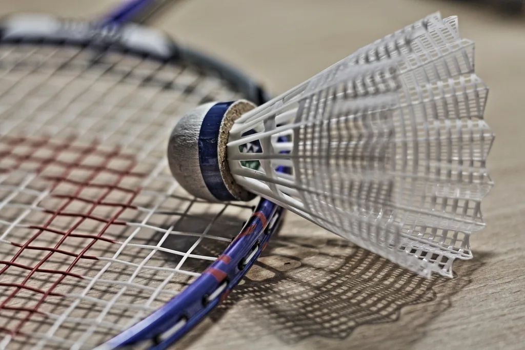 badminton racket and shuttlecock top view