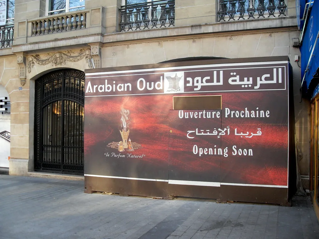 arabian oud string instrument closeup