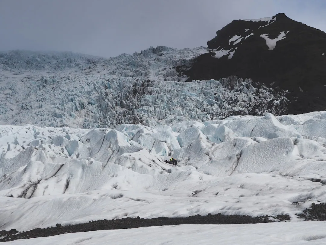 Glacier Mice in Iceland: What Research Shows—and What Visitors Can Expect