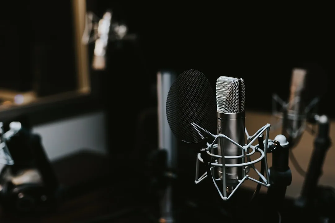 silver and black studio condenser microphone