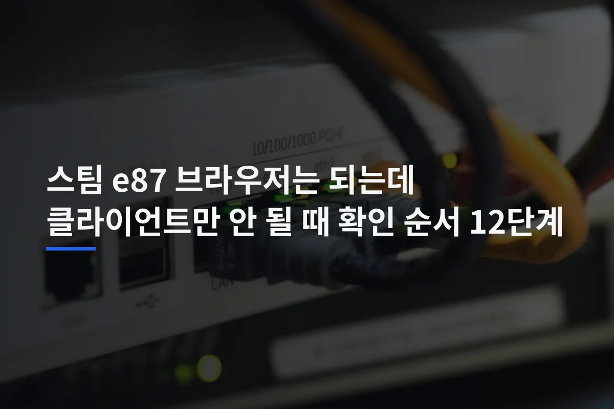 스팀 e87 브라우저는 되는데 클라이언트만 안 될 때 확인 순서 12단계