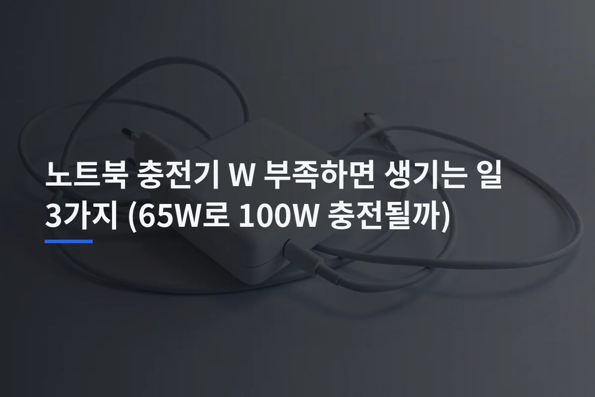 노트북 충전기 W 부족하면 생기는 일 3가지 (65W로 100W 충전될까)